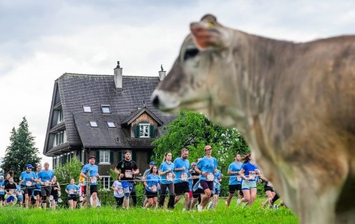 Wings for Life World Run 2026