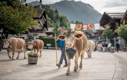 Swiss Highlands Trail 2026